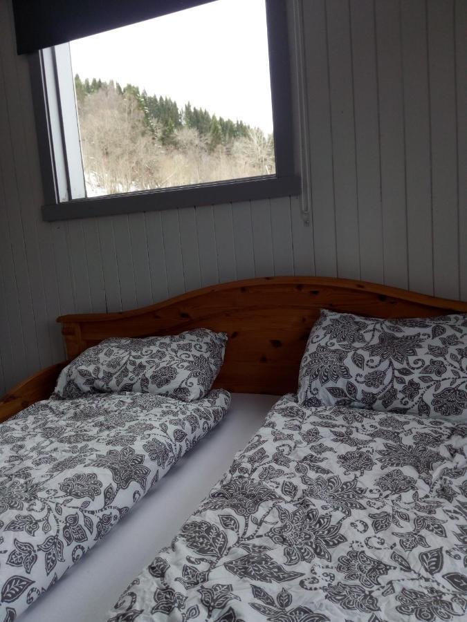 Mountain View House Villa Isfjorden Luaran gambar